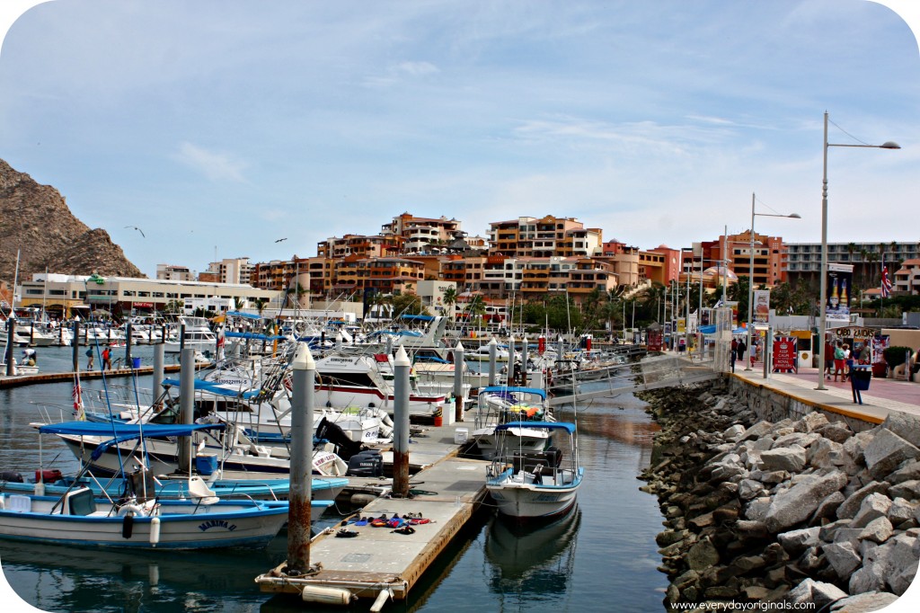 Cabo Marina