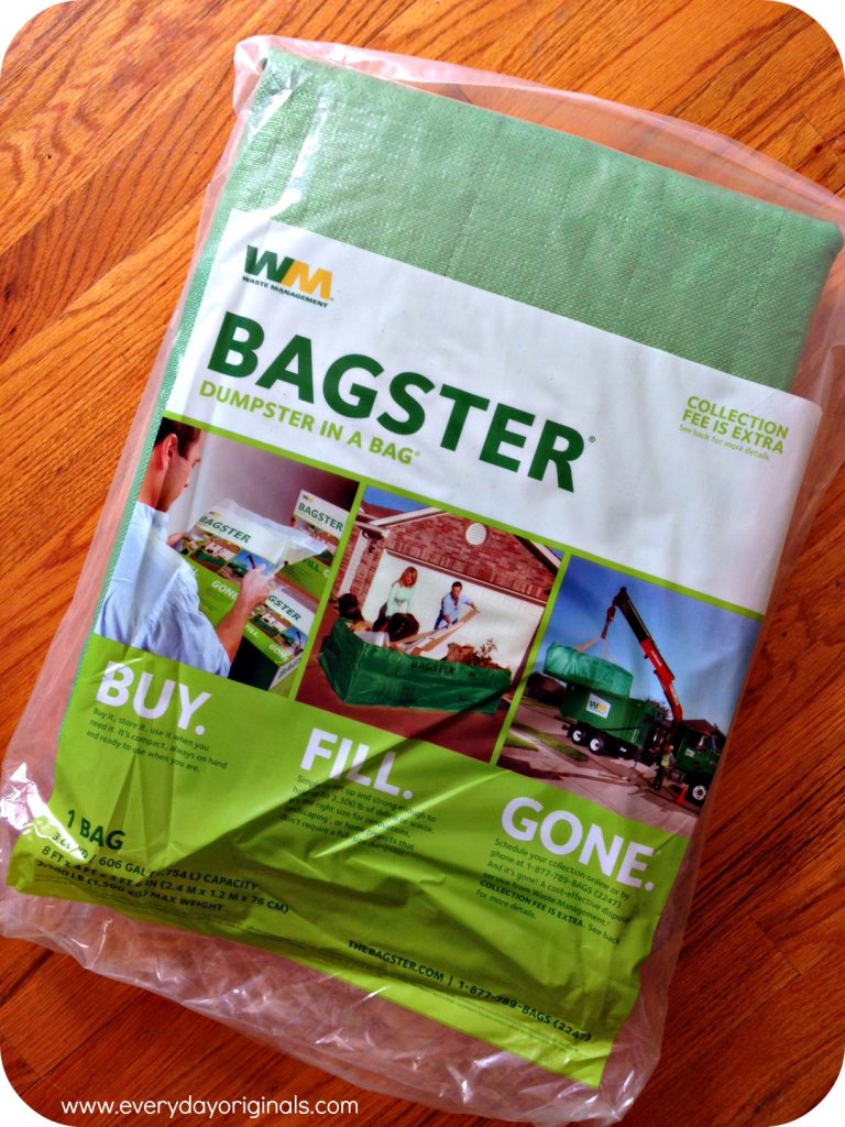 the Bagster bag