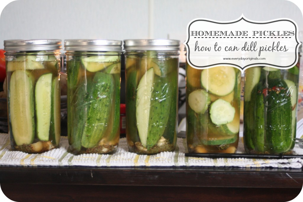 Homemade Dill Pickles How to can pickles