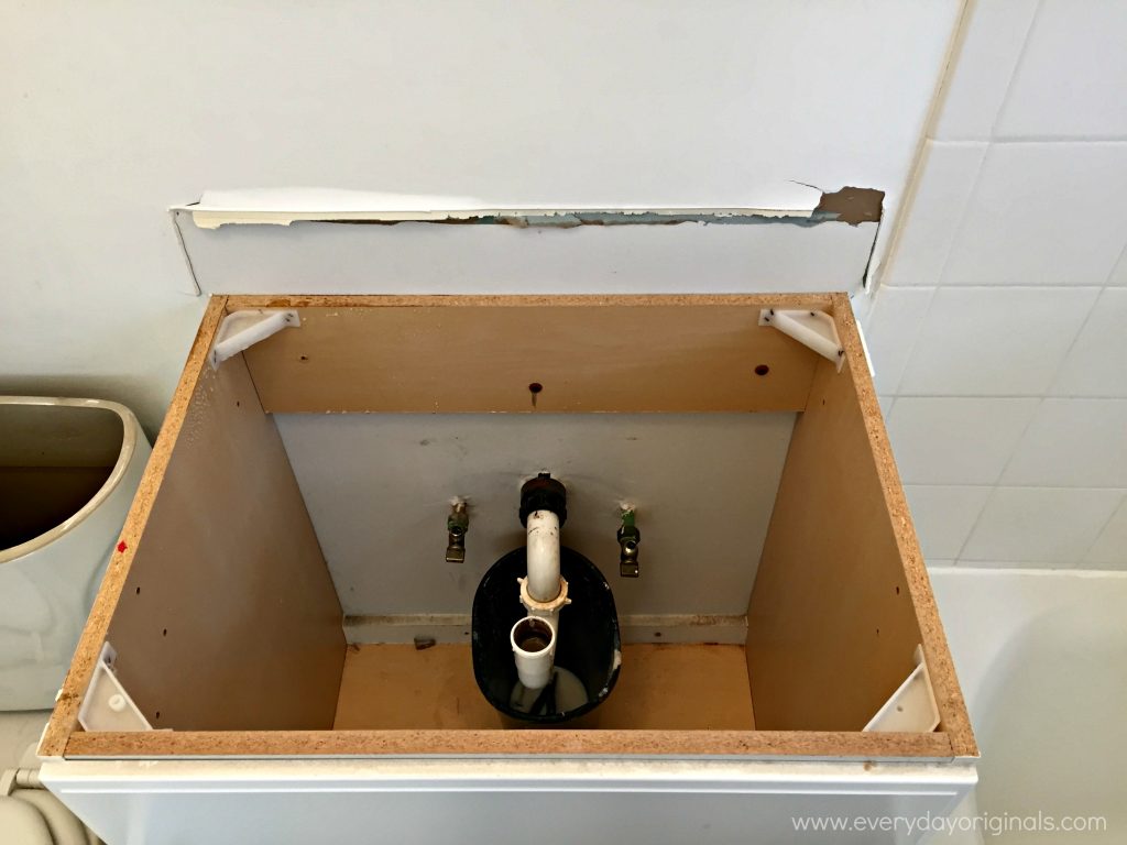 Removing the Sink Top from a Vanity