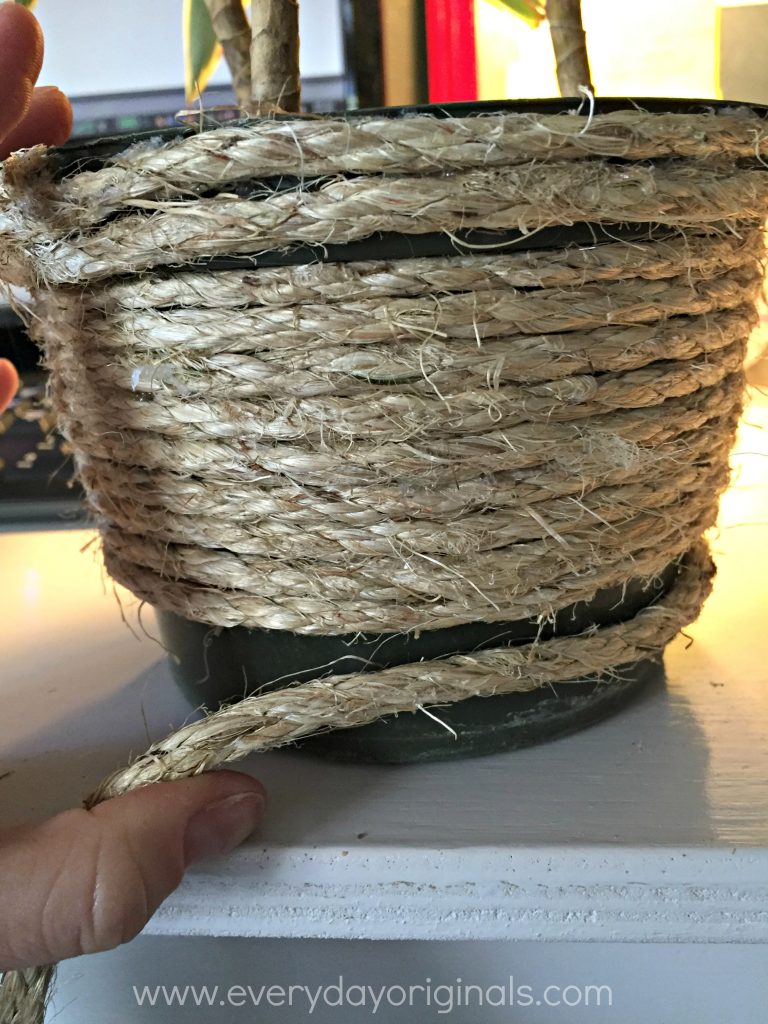 Planter Wrapped in Rope